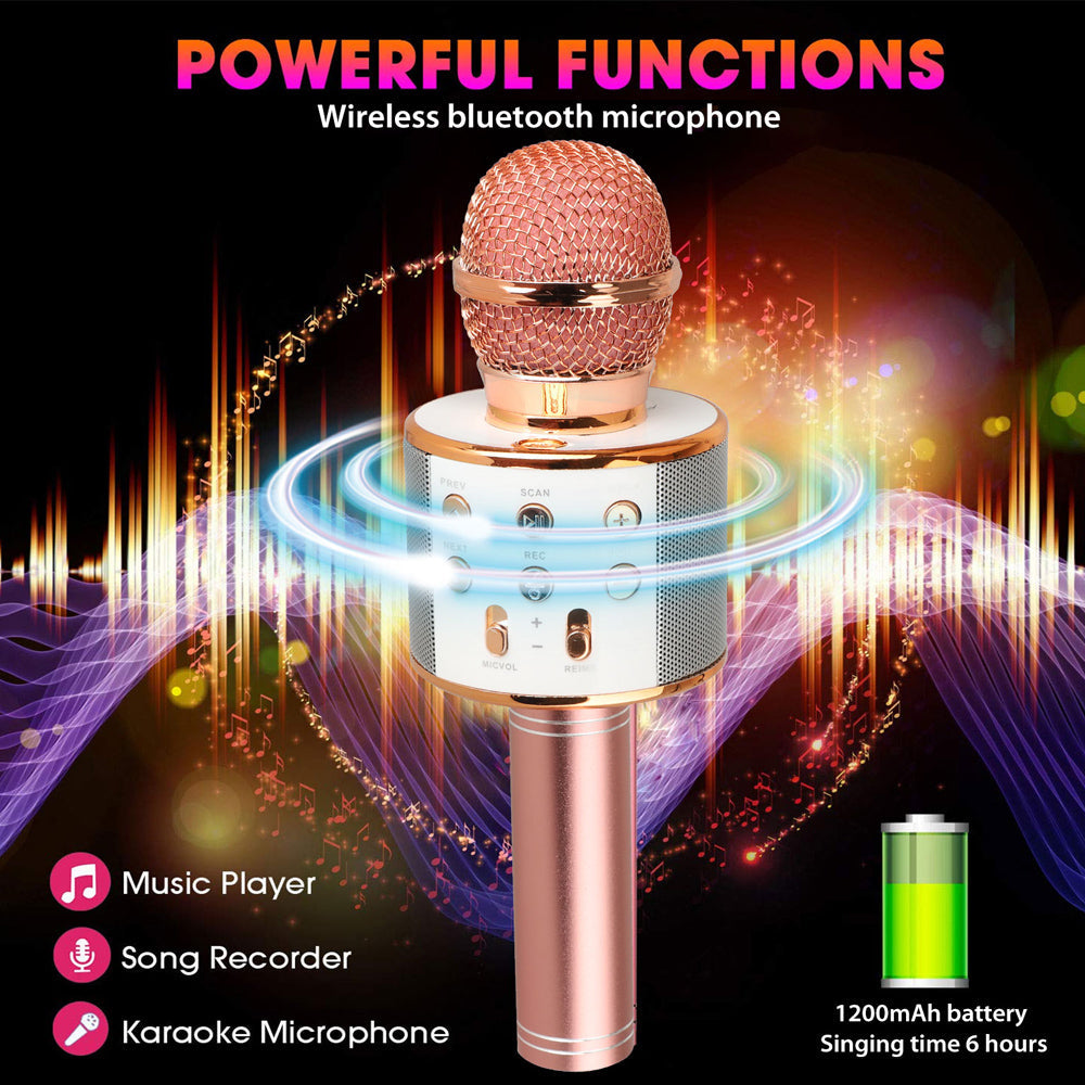 Charly | Rechargeable Wireless Bluetooth Karaoke Microphone