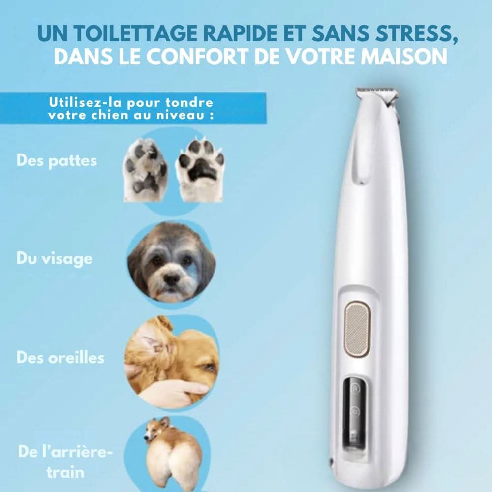 Charly | SilentPet Trimmer – Silent fur trimmer for sensitive areas on dogs & cats