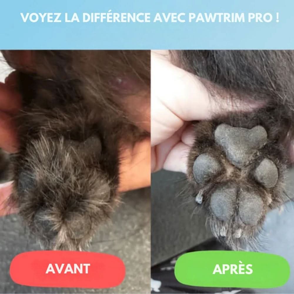 Charly | SilentPet Trimmer – Silent fur trimmer for sensitive areas on dogs & cats