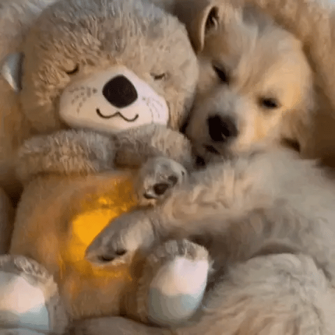 Charly | Soothing Plush Toy with Gentle Light