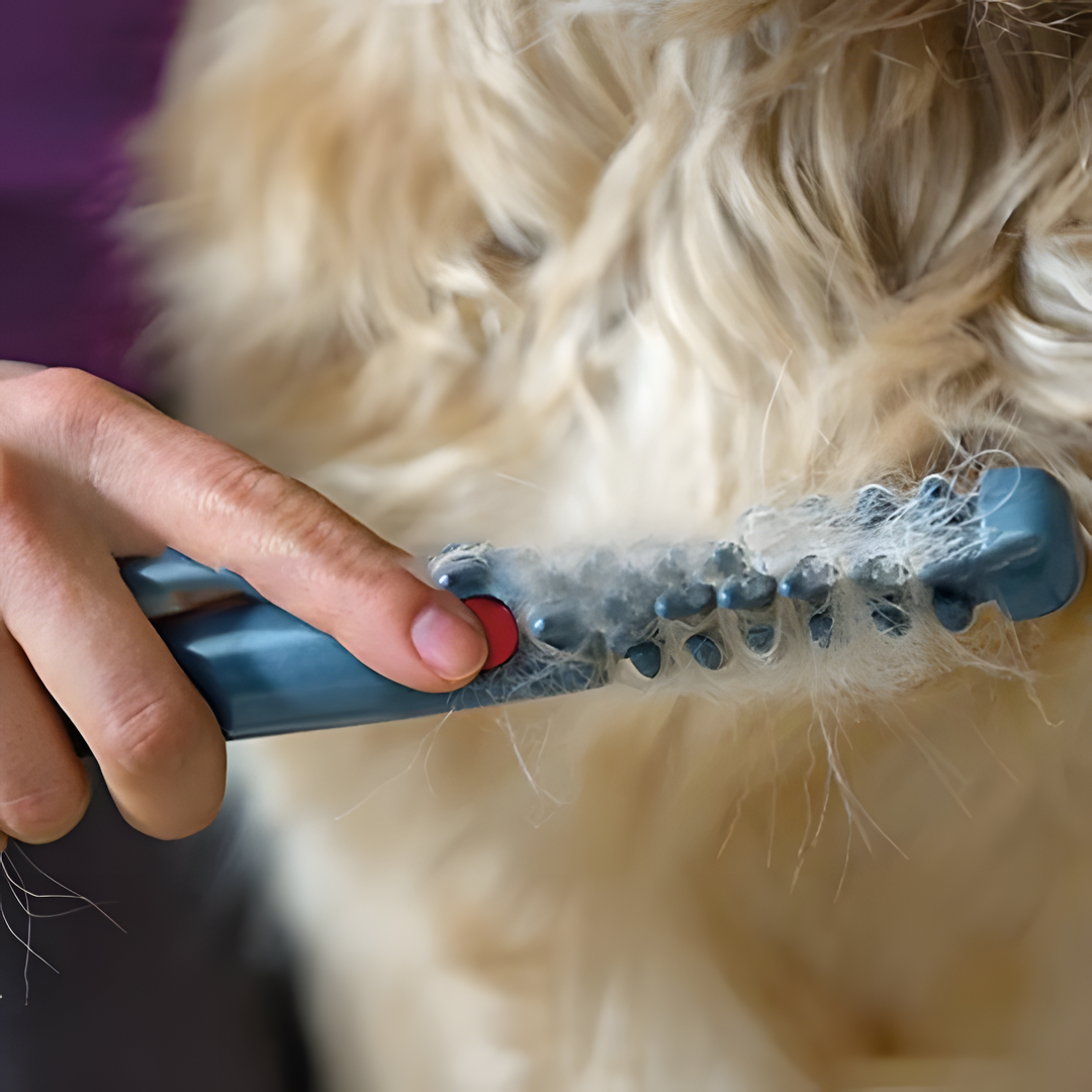 Charly | Tangle-Free Pet Grooming Brush – Gentle & Effective Detangler for Cats & Dogs