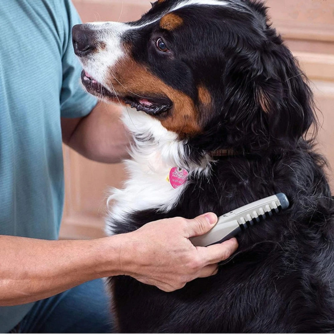 Charly | Tangle-Free Pet Grooming Brush – Gentle & Effective Detangler for Cats & Dogs