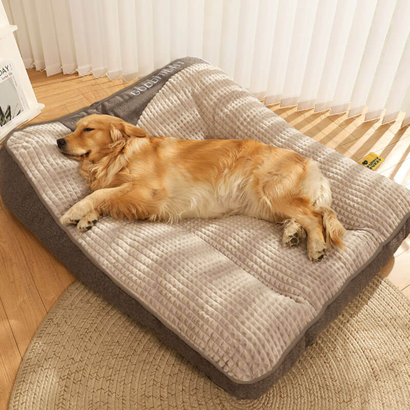 Charly | Thick scratch-resistant spine protection dog bed