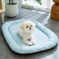 ChillPaws • Refreshing Pet Mat for Warm Weather