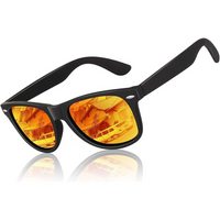 80s Retro Polarized Sunglasses - Wayfarer Style