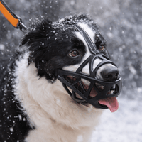 DOGORA - Soft, Breathable Muzzle for Daily Safety