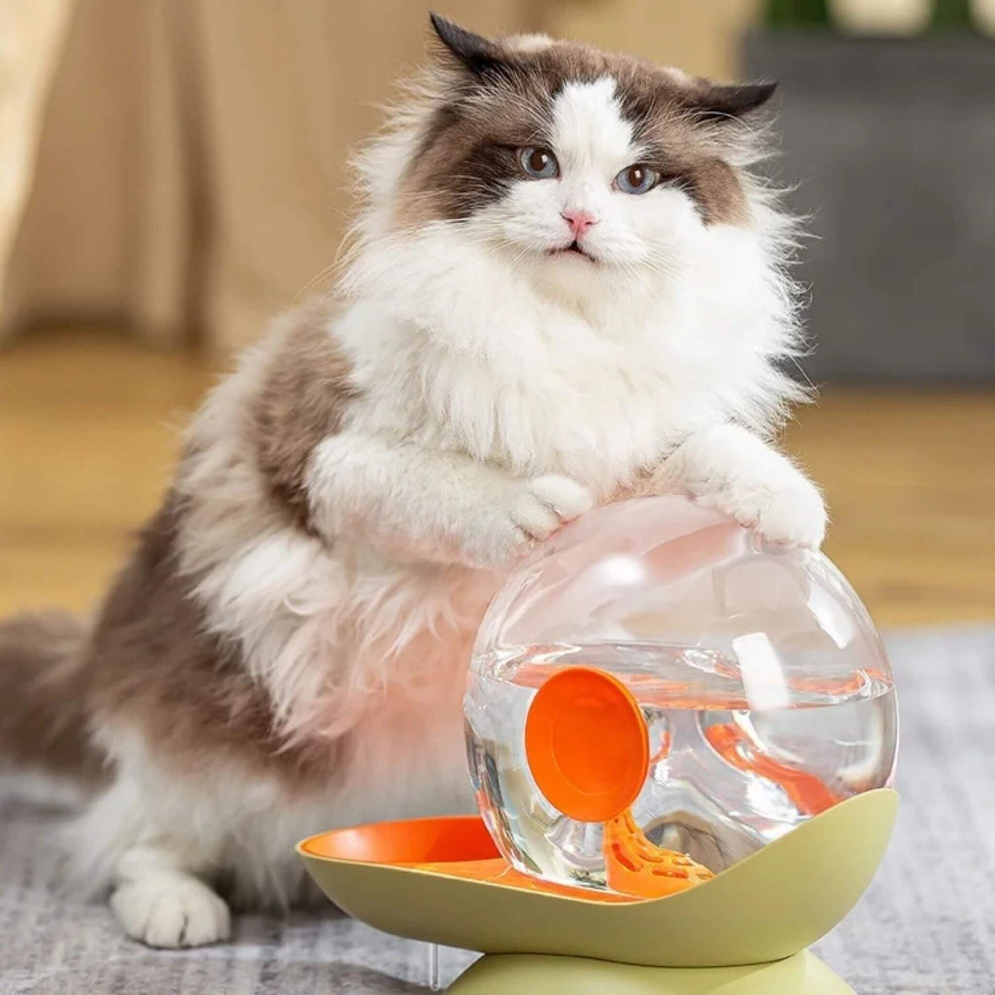 electricity-free cat water fountain snail