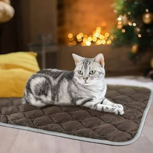 heating mat for cats