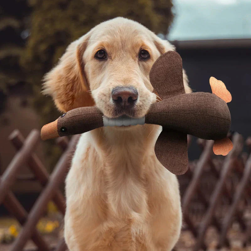 Indestructible Dental Dog Toy