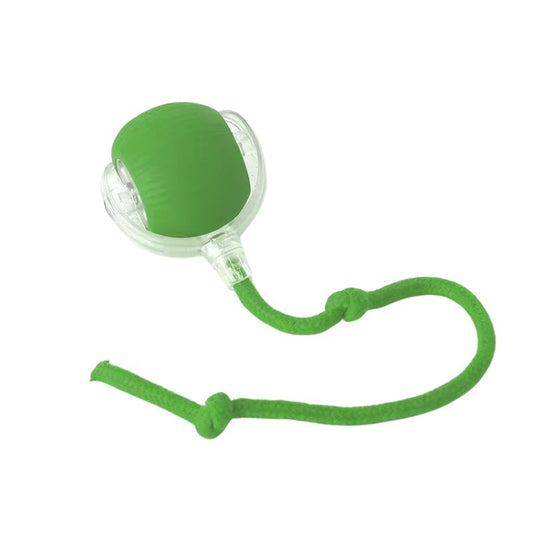 Interactive Dog Ball