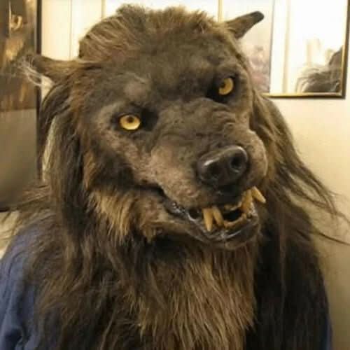 MOONHOWL – Realistic Werewolf Mask for Halloween & Cosplay