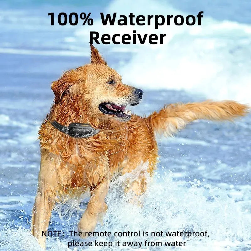 Rechargeable Waterproof Dog Training Collar with Remote