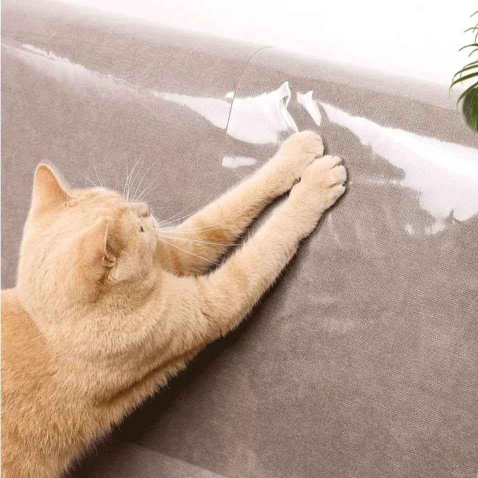 Scratch Protection for Sofa – Preserve Your Furniture, Provide Comfort for Your Cat
