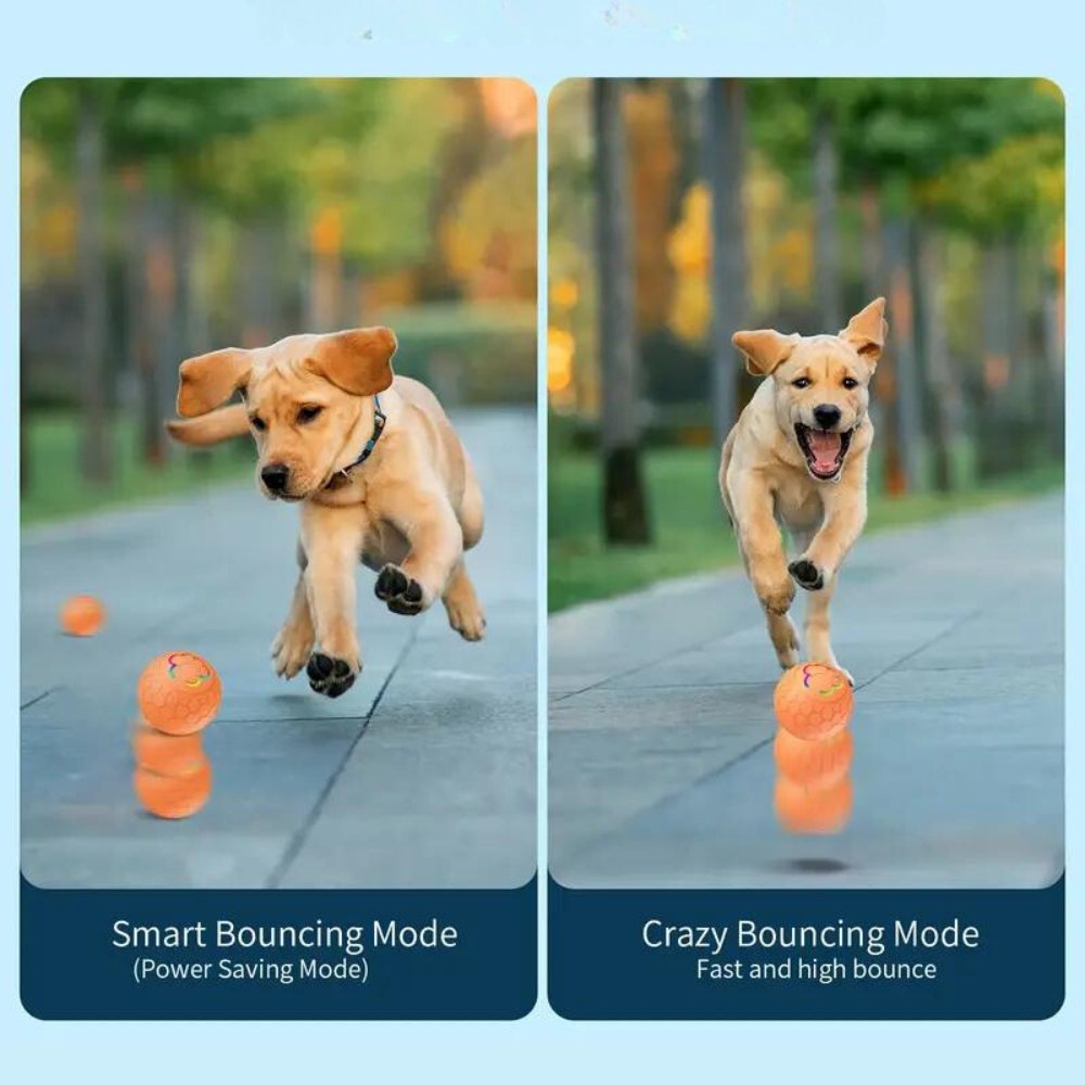 SmartBounce  • Dog Toy Ball