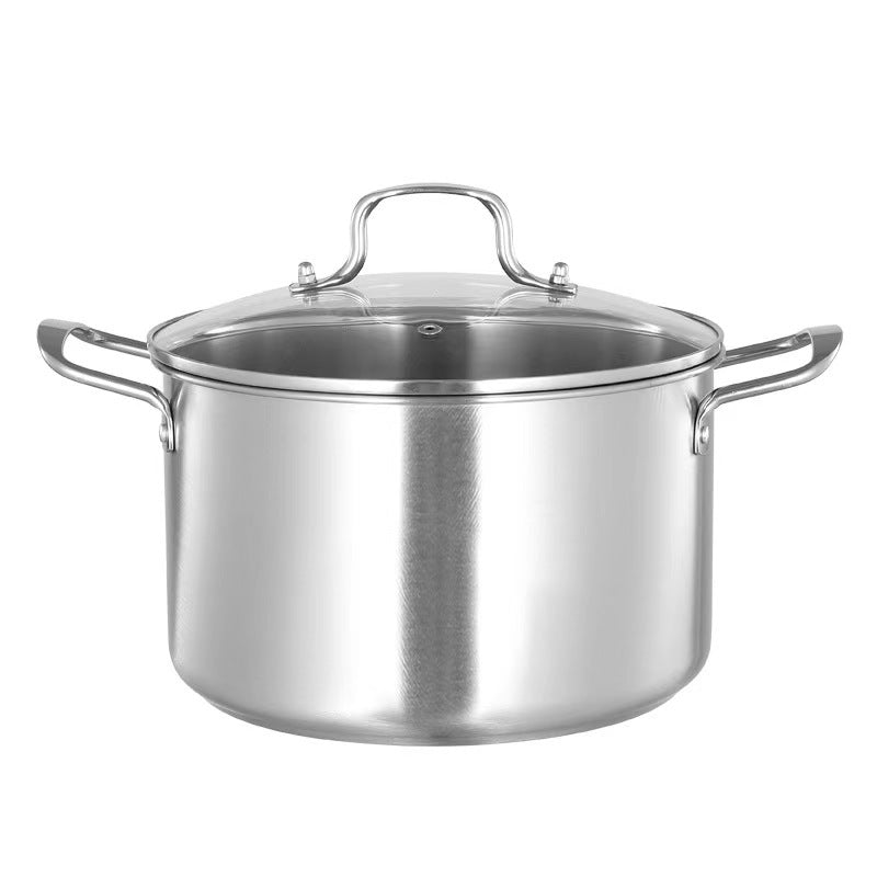 Stainless Steel Stockpot with Glass Lid