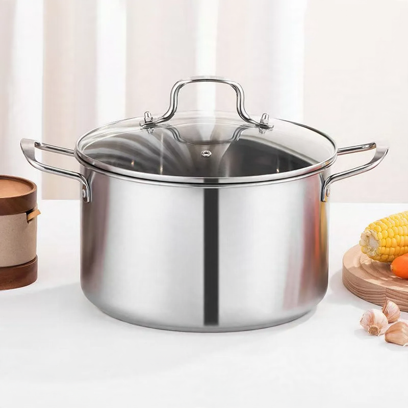 Stainless Steel Stockpot with Glass Lid