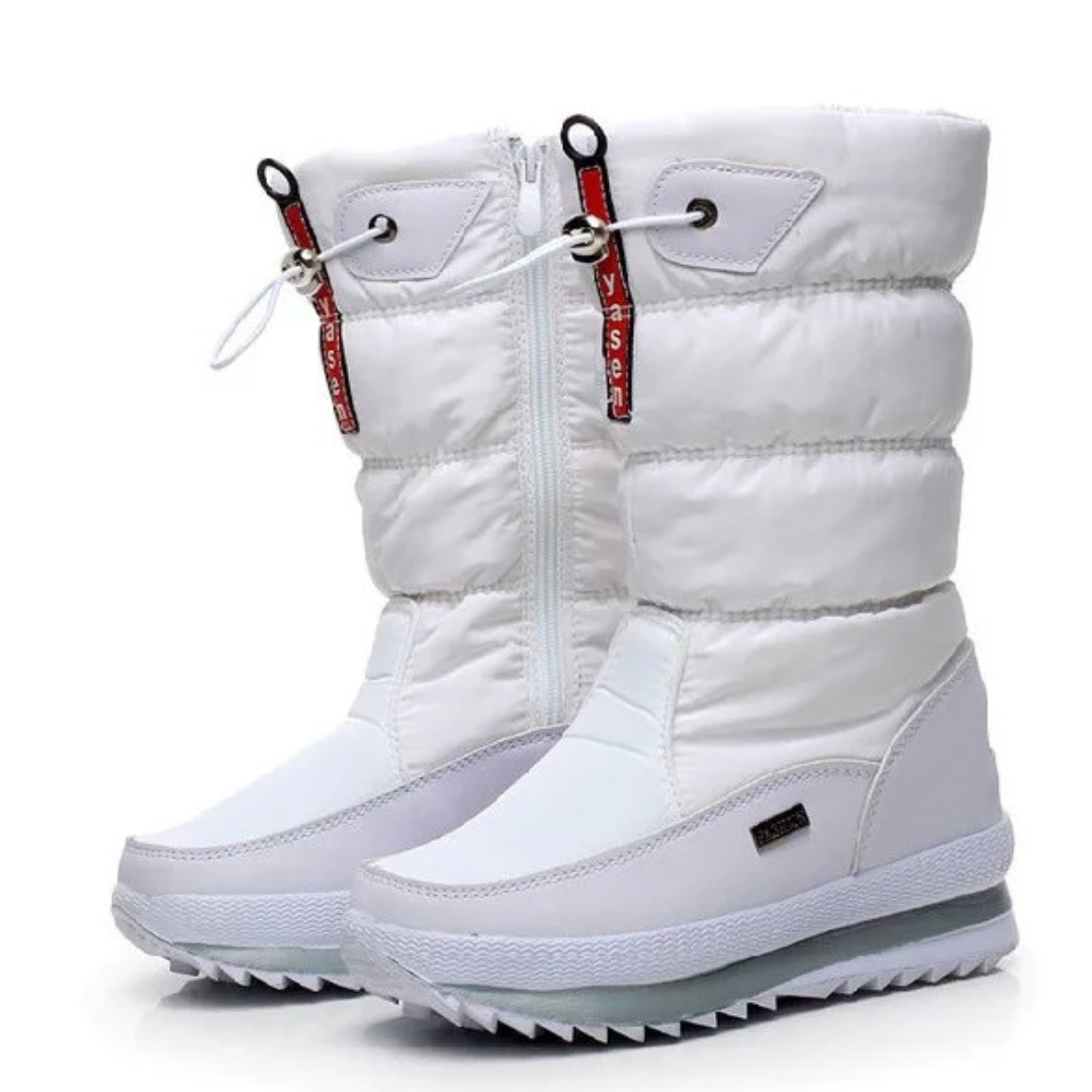 Thick Winter Boots in Plush for Women