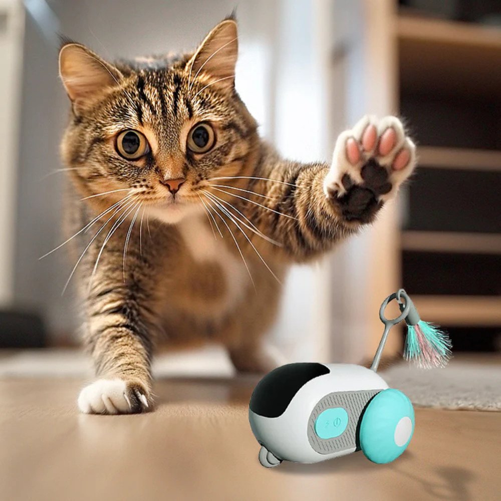 TurboChase •  Interactive Cat Chase Toy