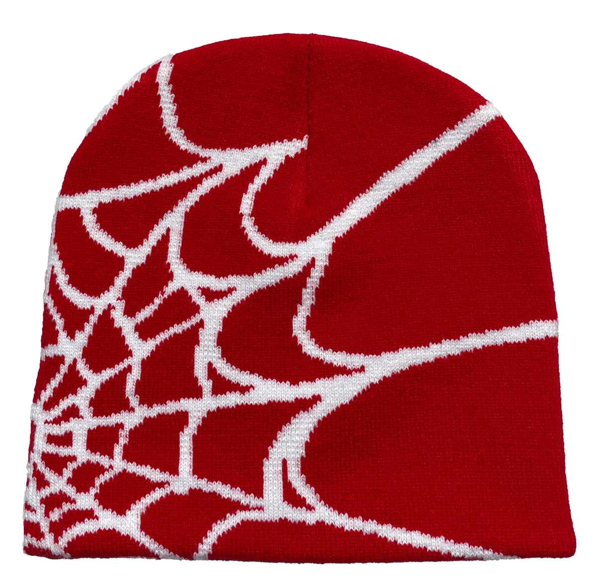 Unisex Spiderweb Print Knit Beanie Warm Outdoor Pullover Hat