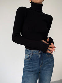 Women's Ribbed Turtleneck Lightweight Knit Sweater